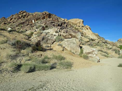 Grapevine Canyon