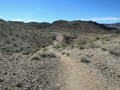 Arizona Hot Spring