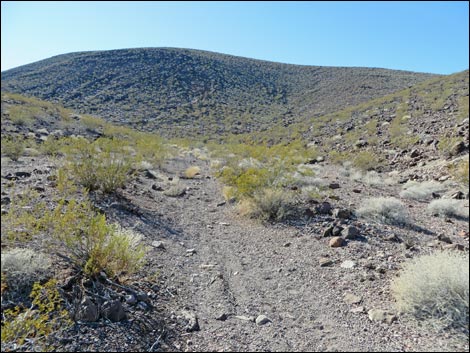 Lonesome Wash Overlook