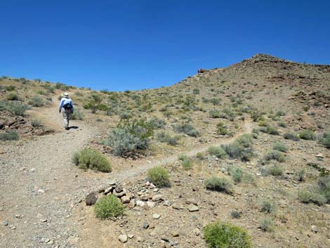 Northshore Summit Trail