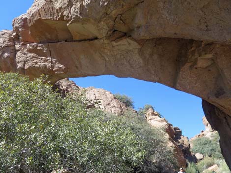 Natural Bridge