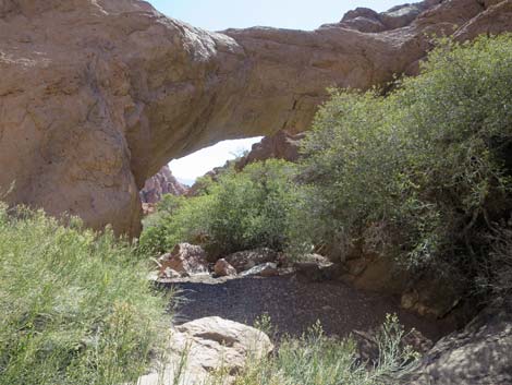 Natural Bridge