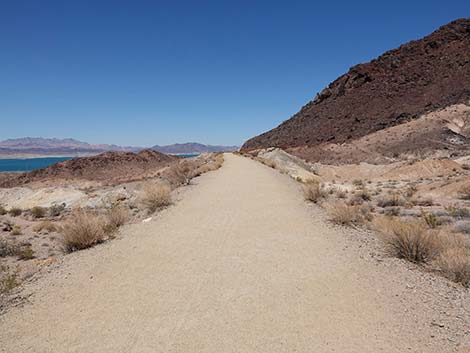 Railroad Tunnels Trail