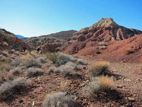 Pinto Valley Wilderness Area