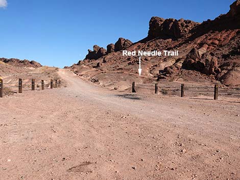 Red Needle Trail