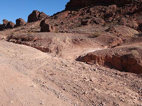 Red Needle Trail