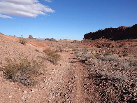 Red Needle Trail