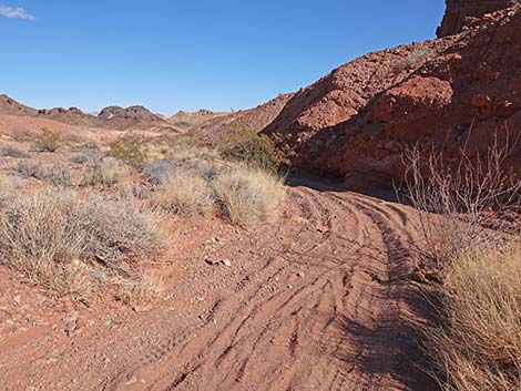 Red Needle Trail