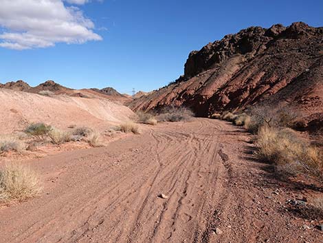 Red Needle Trail