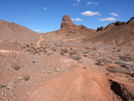 Red Needle Trail