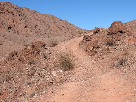 Red Needle Trail