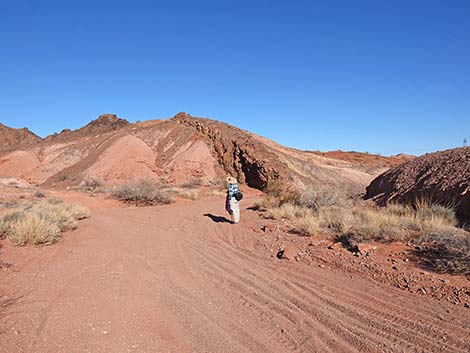 Red Needle Trail