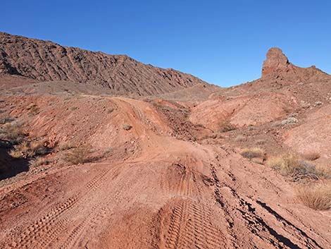 Red Needle Trail