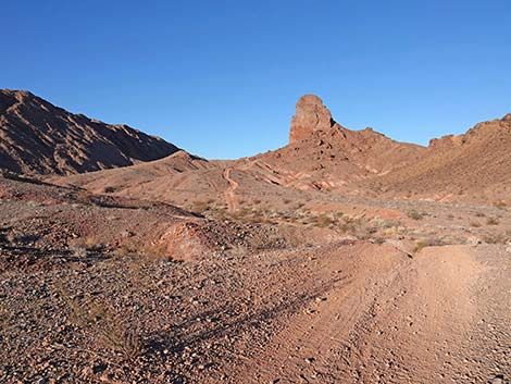 Red Needle Trail