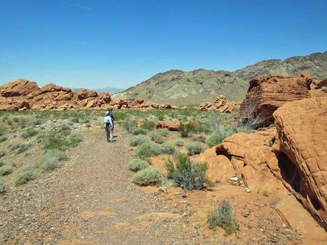 Redstone Dune Loop Trail