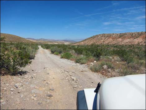 Bitter Springs Byway