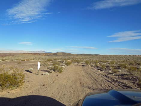 Boy Scout Canyon Road