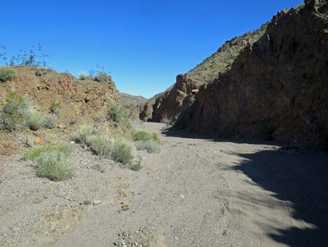 Boy Scout Canyon Road