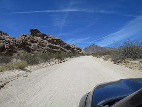 Christmas Tree Pass Road