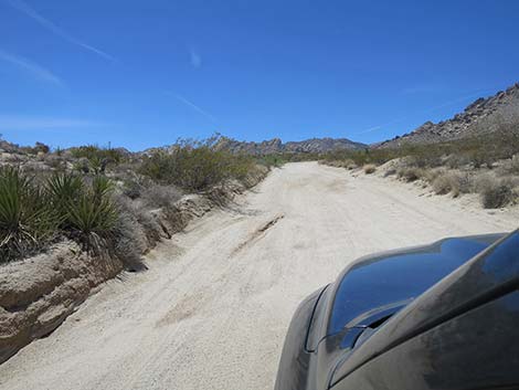 Christmas Tree Pass Road