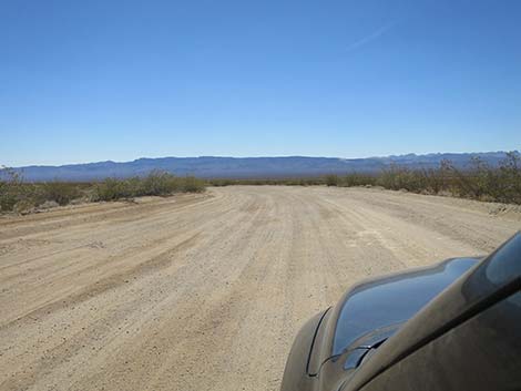 Christmas Tree Pass Road