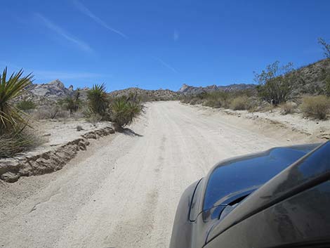 Christmas Tree Pass Road