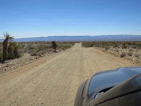 Christmas Tree Pass Road