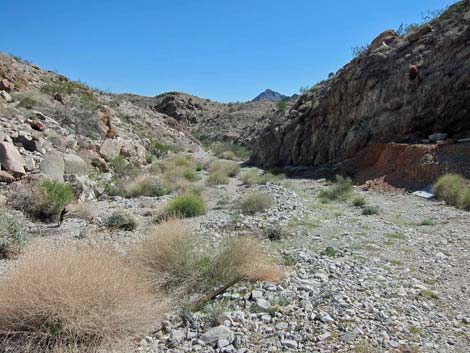 Camp Dupont Mine Road