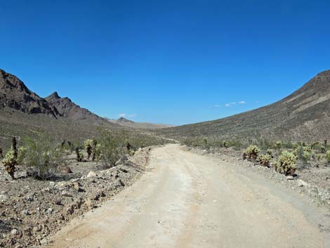 Rockefeller Mine Road