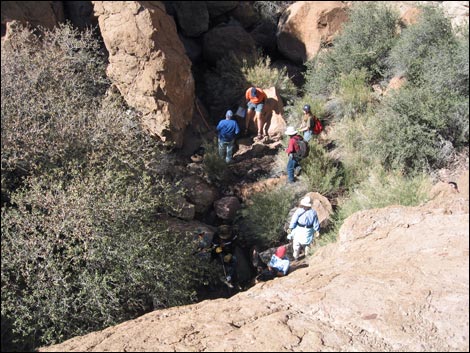 Virlis-Fisher Arch