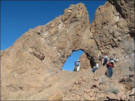 Virlis-Fisher Arch