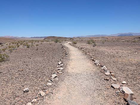 wetlands trail