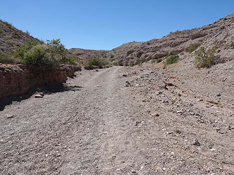 Wetlands Trail