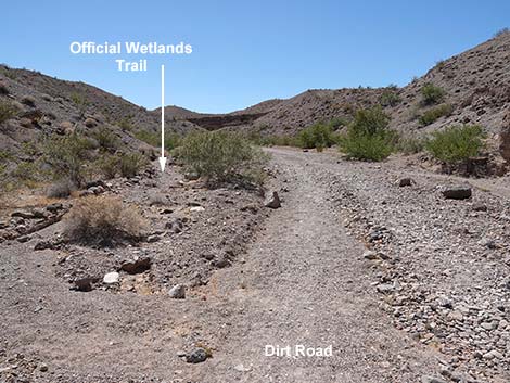 Wetlands Trail