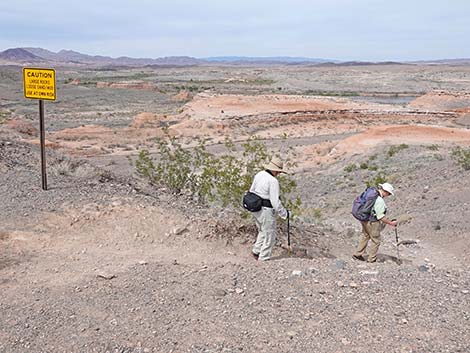 White Owl Canyon