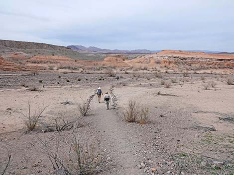 White Owl Canyon