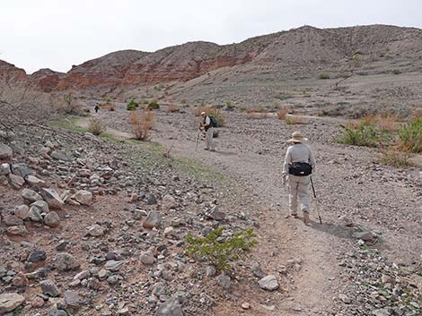 White Owl Canyon