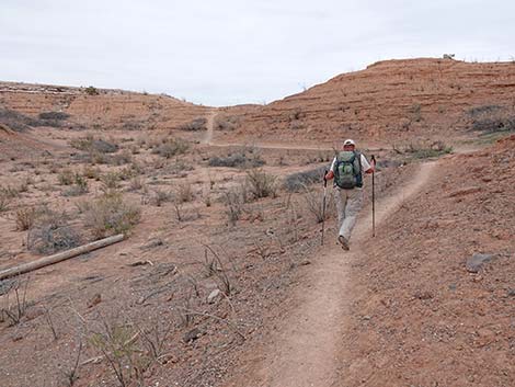 White Owl Canyon