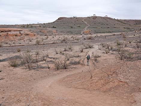 White Owl Canyon