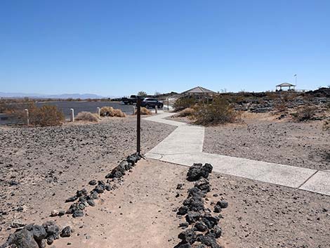 Amboy Crater Trail