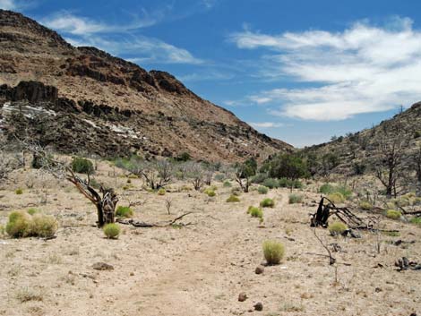 Mid Hills to Hole-in-the-Wall Trail