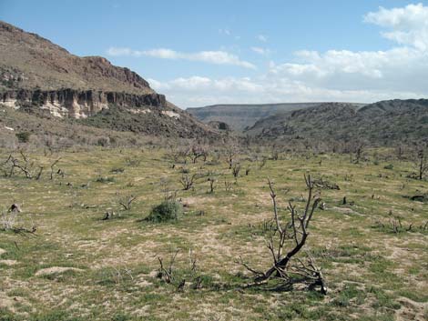 Barber Loop Trail