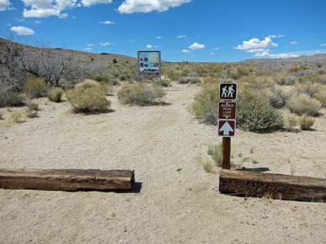 Cactus Garden Loop Trail