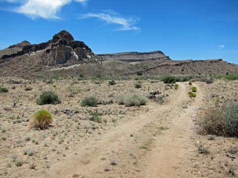 Barber Loop Trail