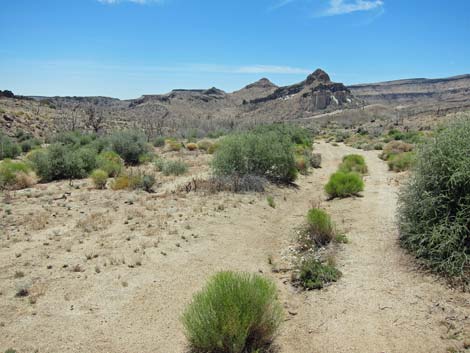 Barber Loop Trail