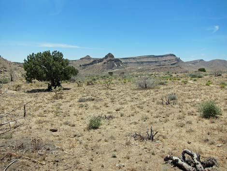 Barber Loop Trail