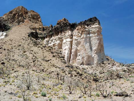 Barber Loop Trail