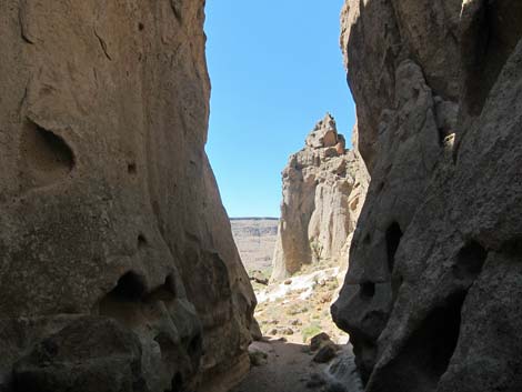 Barber Loop Trail