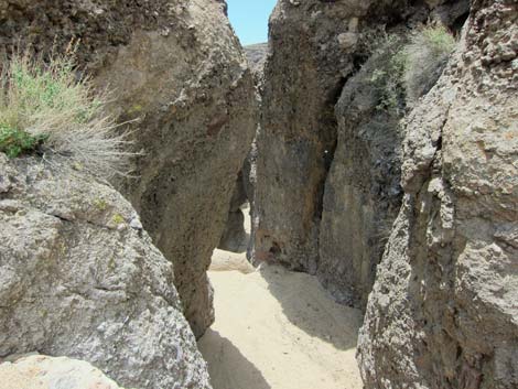 Barber Loop Trail