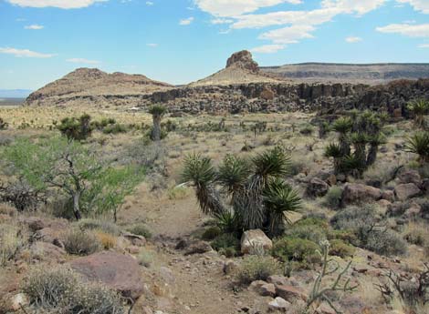 Barber Loop Trail